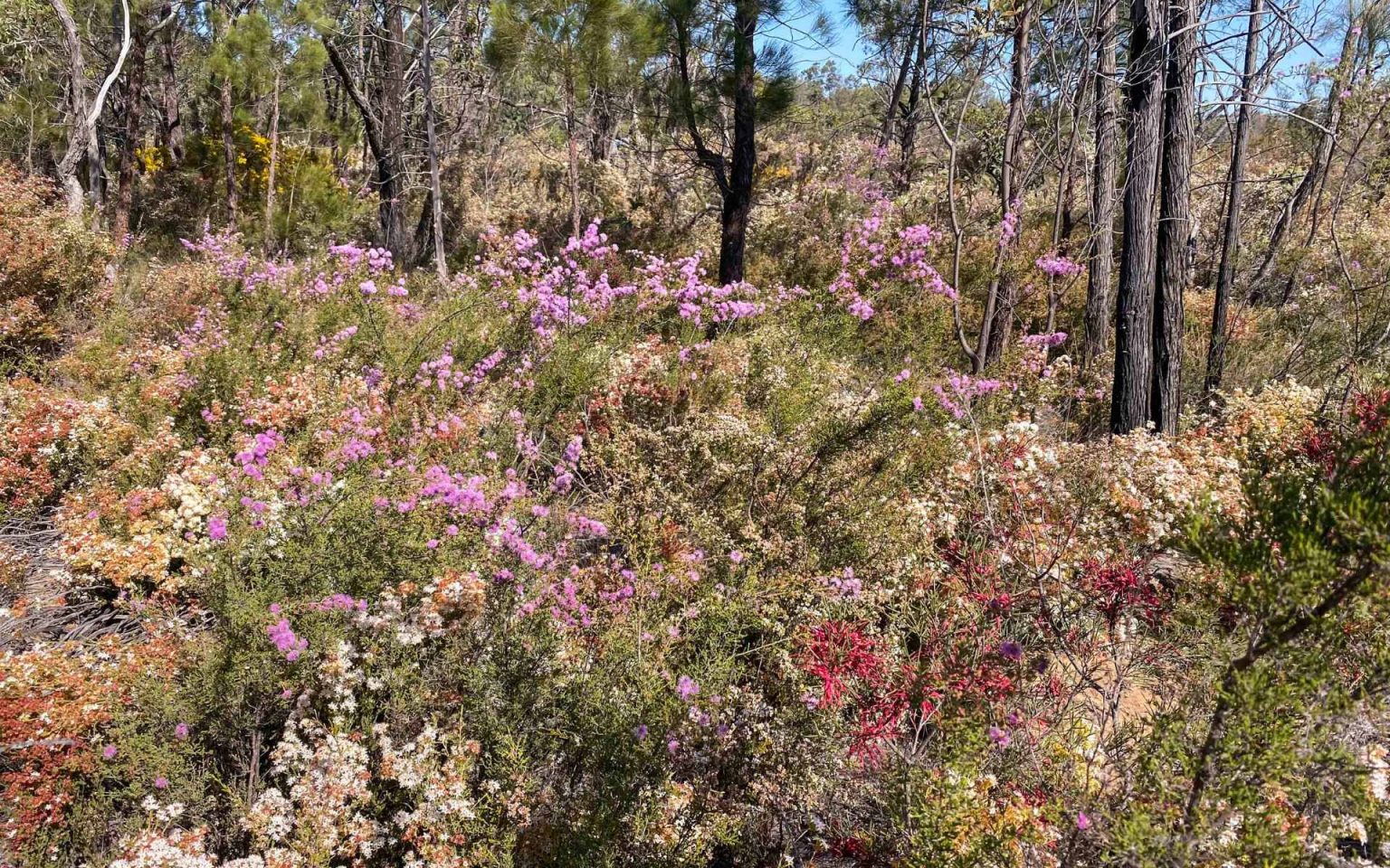 Outback Queensland 3 Hidden Worlds to Discover in Outback Queensland ...