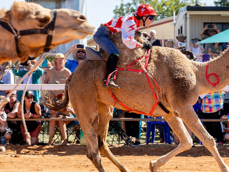 Boulia Camel Races